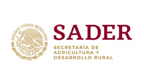 consultoria-ambiental-y-empresarial administracion-de-proyectos impacto-ambiental