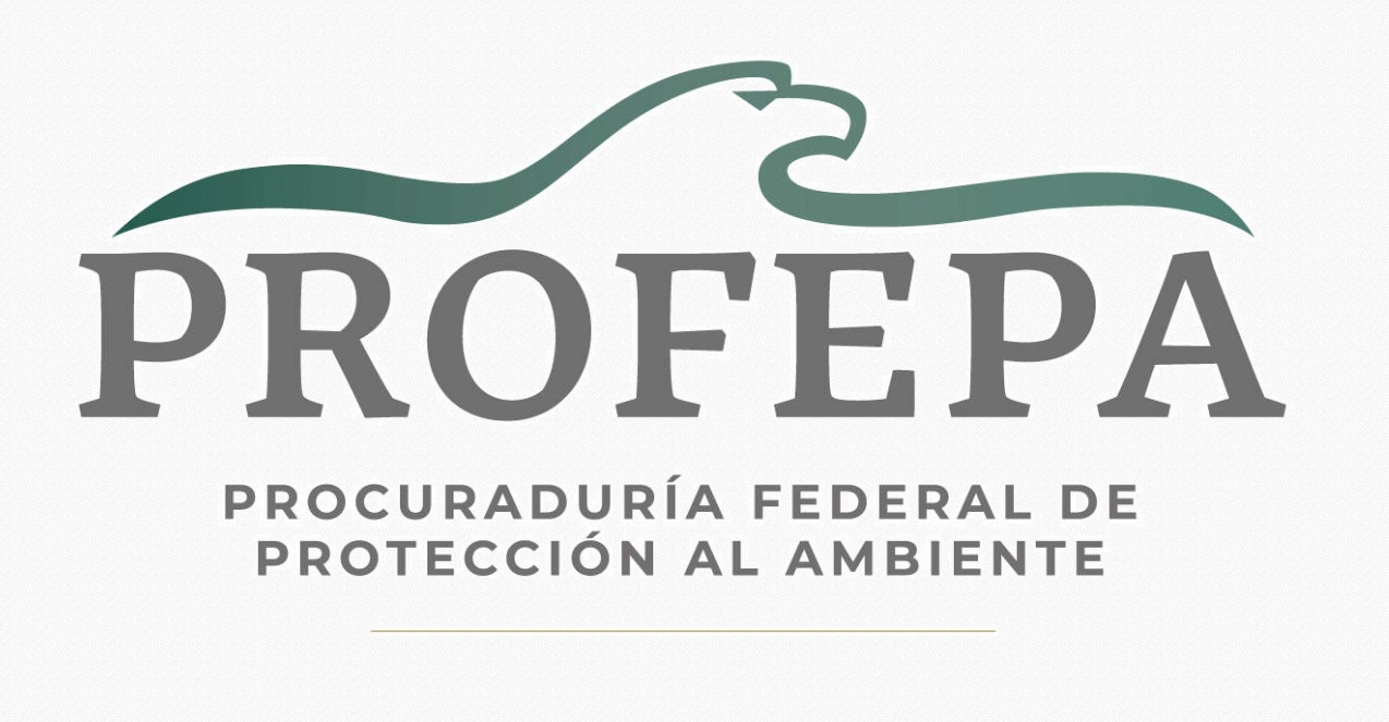 consultoria-ambiental-y-empresarial administracion-de-proyectos impacto-ambiental