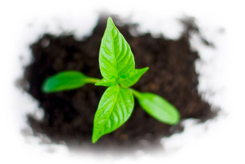 cedulas-de-operacion licencia-ambiental gestion-empresarial-y-ambiental